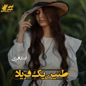 رمان طنین یک فریاد