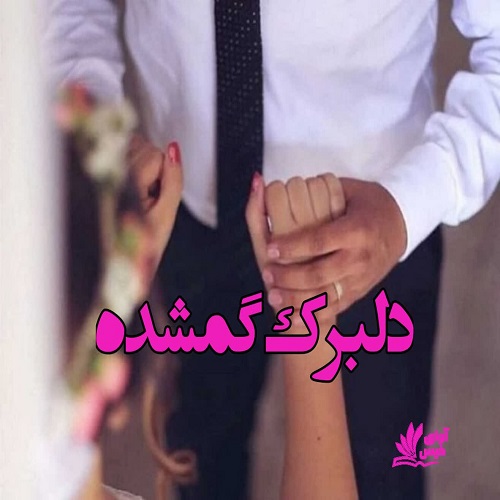 دانلود رمان دلبرک گمشده pdf از ناشناس