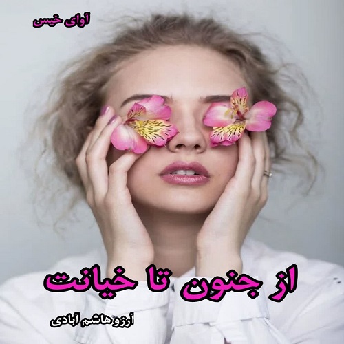 دانلود رمان از جنون تا خیانت pdf از آرزو هاشم آبادی
