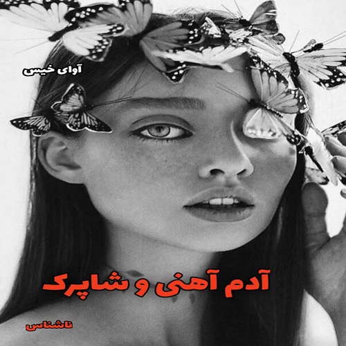 دانلود رمان آدم آهنی و شاپرک pdf از ناشناس