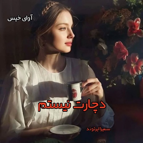 دانلود رمان دچارت نیستم pdf از سمیرا ایرتوند