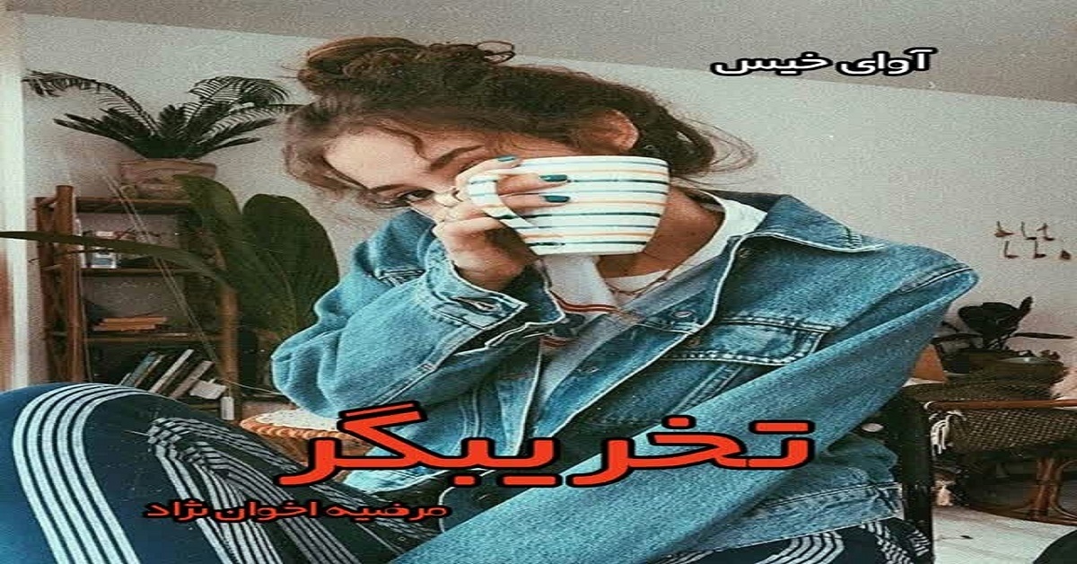 دانلود رمان تخریبگر pdf از مرضیه اخوان نژاد
