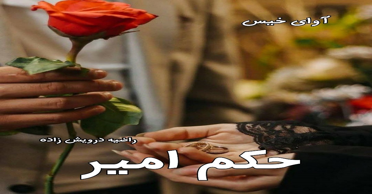 دانلود رمان حکم امیر pdf از راضیه درویش زاده